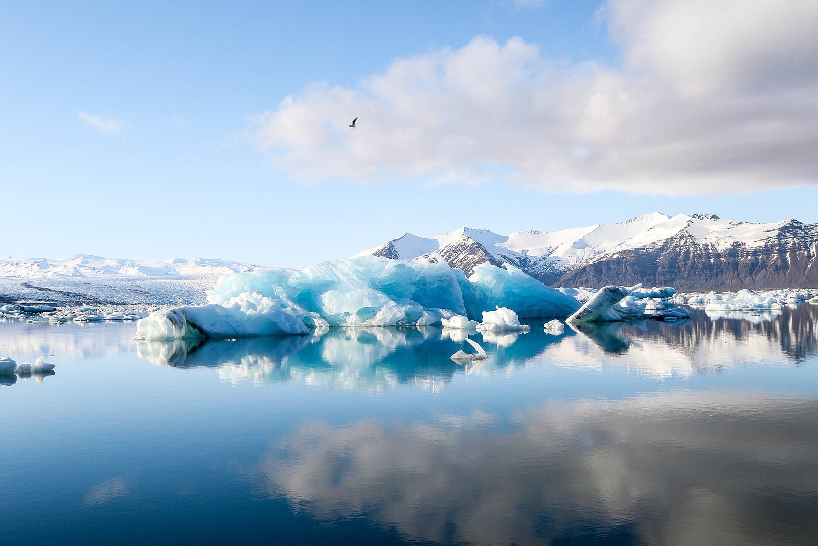 Boda en Jökulsárlón